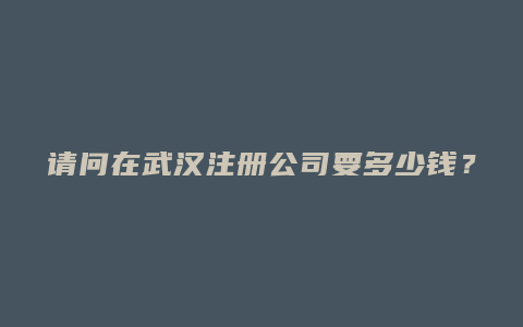 请问在武汉注册公司要多少钱？