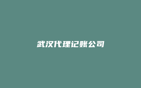 武汉代理记账公司