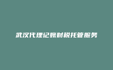 武汉代理记账财税托管服务