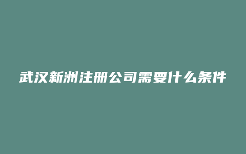 武汉新洲注册公司需要什么条件