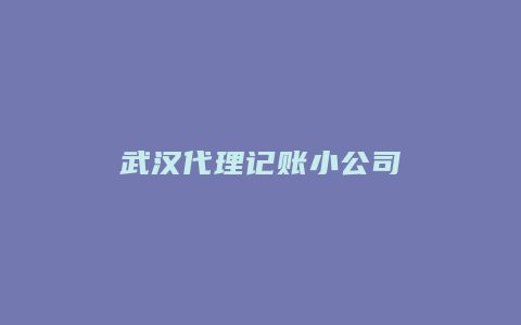 武汉代理记账小公司