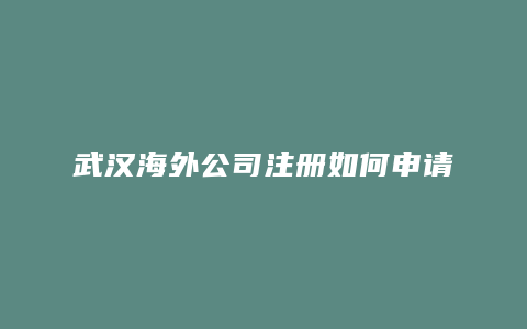 武汉海外公司注册如何申请