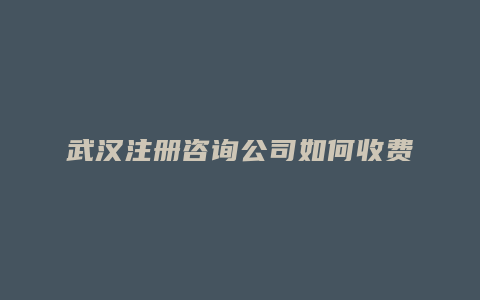 武汉注册咨询公司如何收费