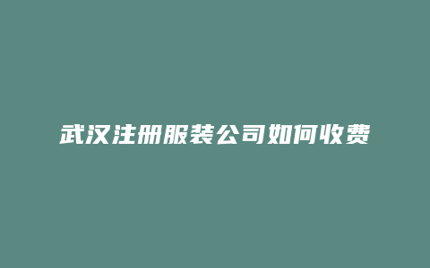 武汉注册服装公司如何收费