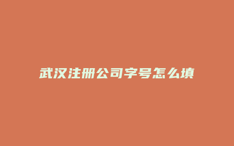 武汉注册公司字号怎么填