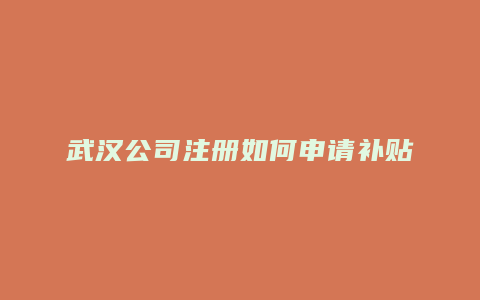 武汉公司注册如何申请补贴