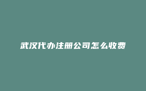 武汉代办注册公司怎么收费