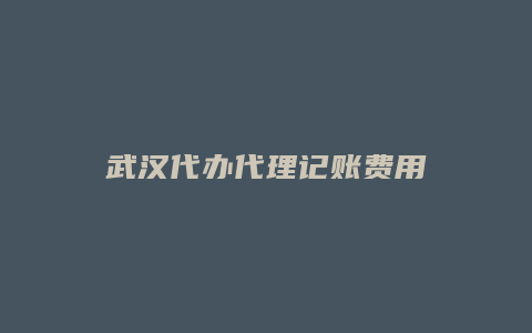 武汉代办代理记账费用