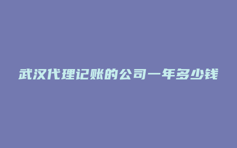 武汉代理记账的公司一年多少钱