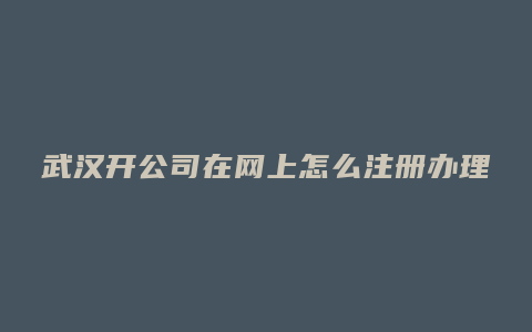 武汉开公司在网上怎么注册办理