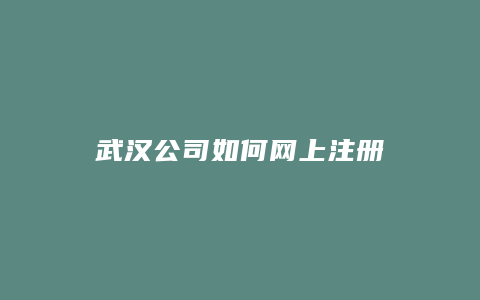 武汉公司如何网上注册