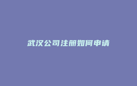 武汉公司注册如何申请