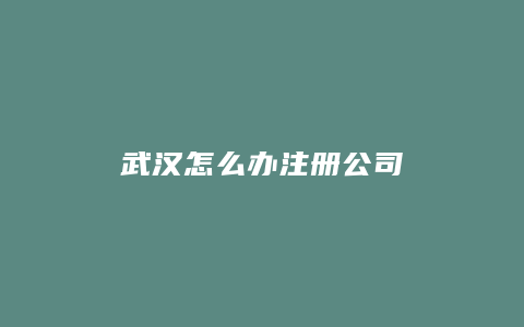 武汉怎么办注册公司