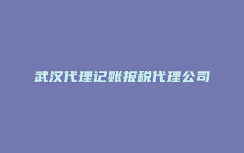 武汉代理记账报税代理公司