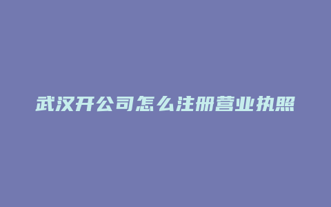 武汉开公司怎么注册营业执照