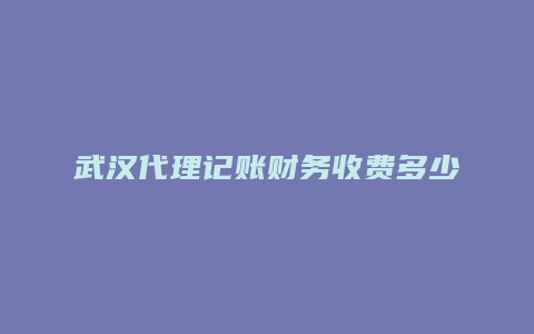 武汉代理记账财务收费多少