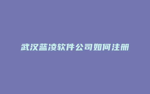 武汉蓝凌软件公司如何注册