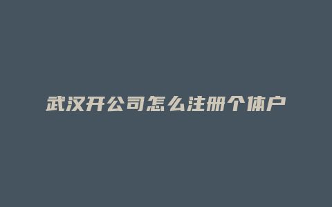 武汉开公司怎么注册个体户