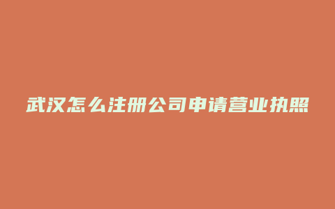 武汉怎么注册公司申请营业执照