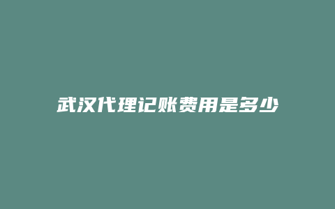 武汉代理记账费用是多少