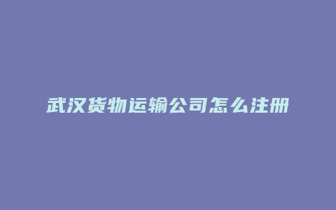 武汉货物运输公司怎么注册