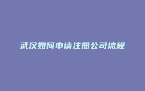 武汉如何申请注册公司流程