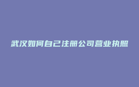 武汉如何自己注册公司营业执照