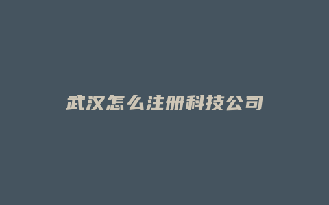 武汉怎么注册科技公司