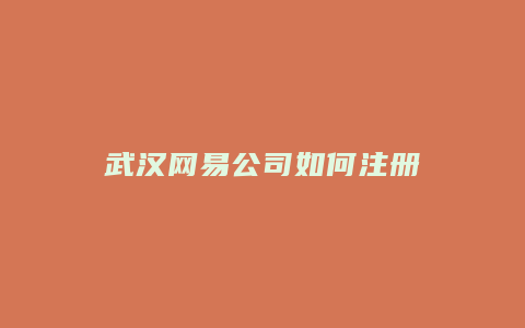 武汉网易公司如何注册