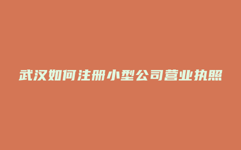 武汉如何注册小型公司营业执照