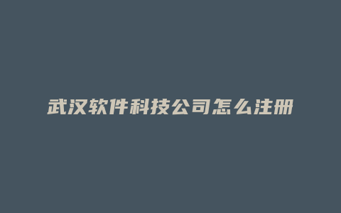 武汉软件科技公司怎么注册