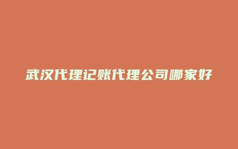 武汉代理记账代理公司哪家好