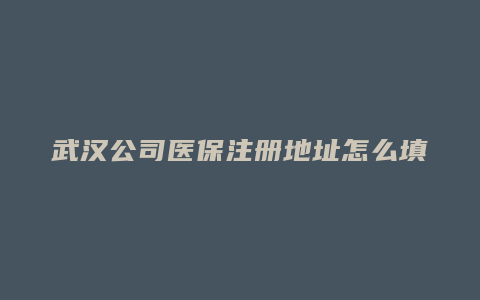 武汉公司医保注册地址怎么填