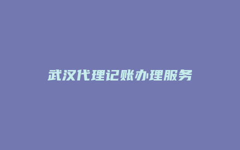 武汉代理记账办理服务