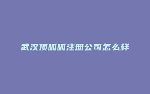 武汉顶呱呱注册公司怎么样