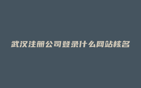 武汉注册公司登录什么网站核名