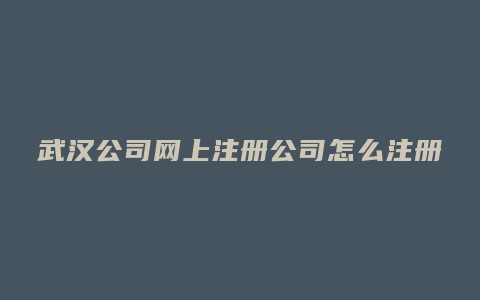 武汉公司网上注册公司怎么注册