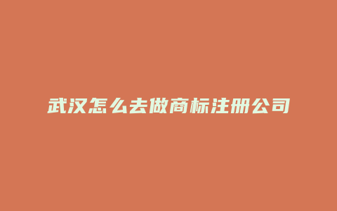 武汉怎么去做商标注册公司