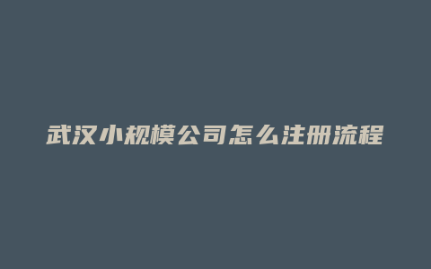 武汉小规模公司怎么注册流程