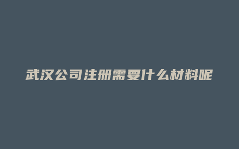 武汉公司注册需要什么材料呢