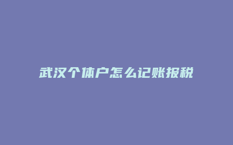 武汉个体户怎么记账报税