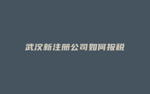 武汉新注册公司如何报税