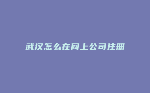 武汉怎么在网上公司注册