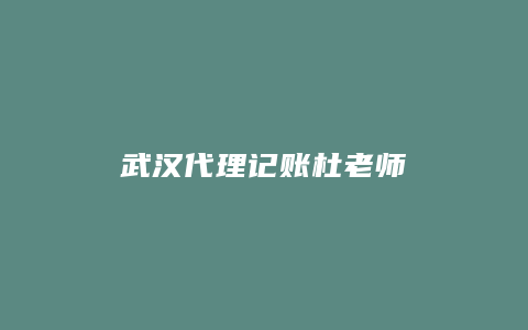 武汉代理记账杜老师