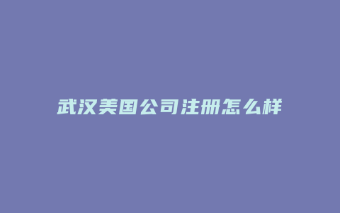 武汉美国公司注册怎么样