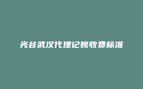 光谷武汉代理记账收费标准