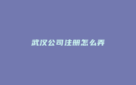 武汉公司注册怎么弄