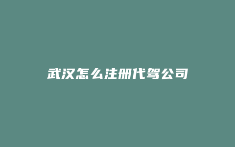 武汉怎么注册代驾公司