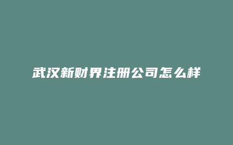 武汉新财界注册公司怎么样