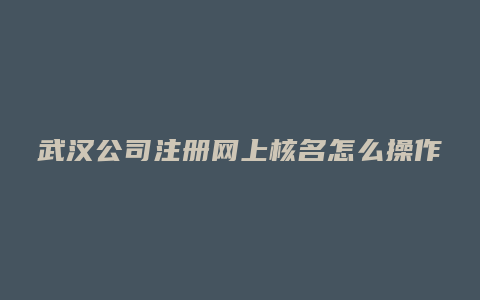 武汉公司注册网上核名怎么操作